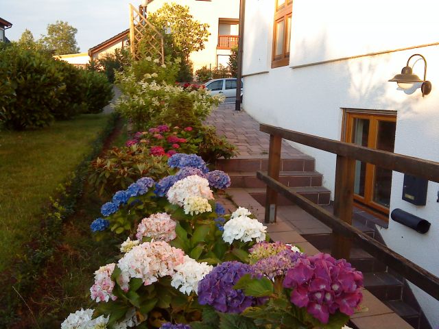 picture