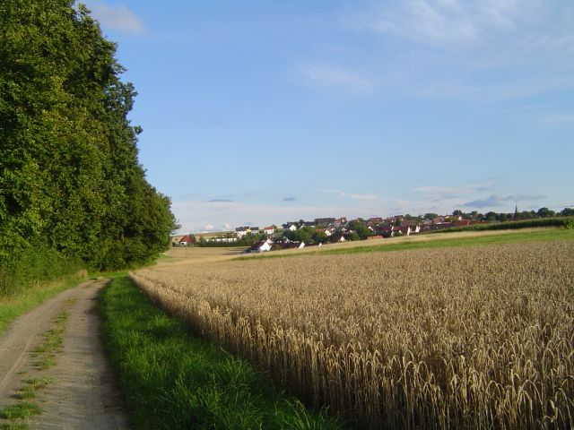 picture